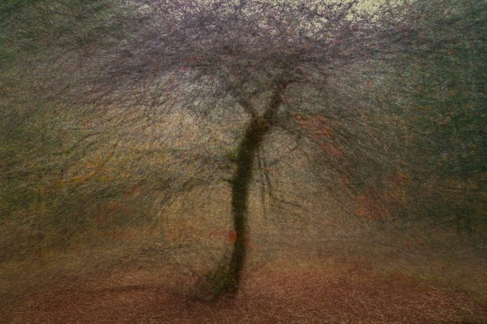 "Photographie d'art série OPUS 1874 hommage à l'impressionnisme - Dominique Cherprenet".