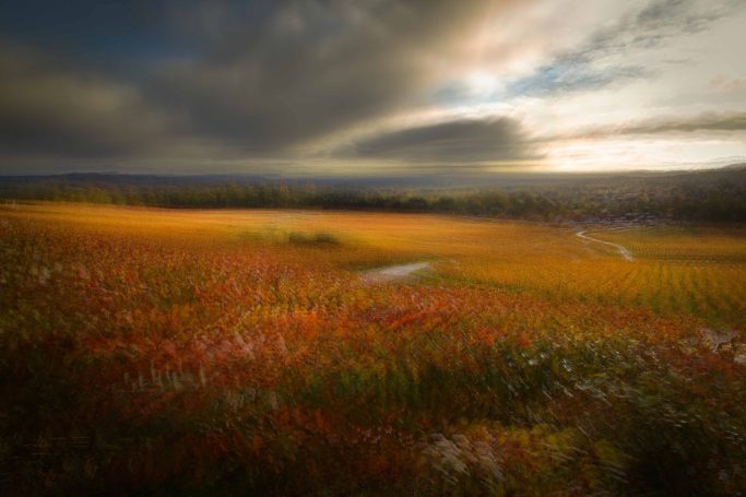 "Photographie d'art série OPUS 1874 hommage à l'impressionnisme - Dominique Cherprenet".