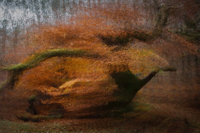 "Photographie d'art série OPUS 1874 hommage à l'impressionnisme - Dominique Cherprenet".