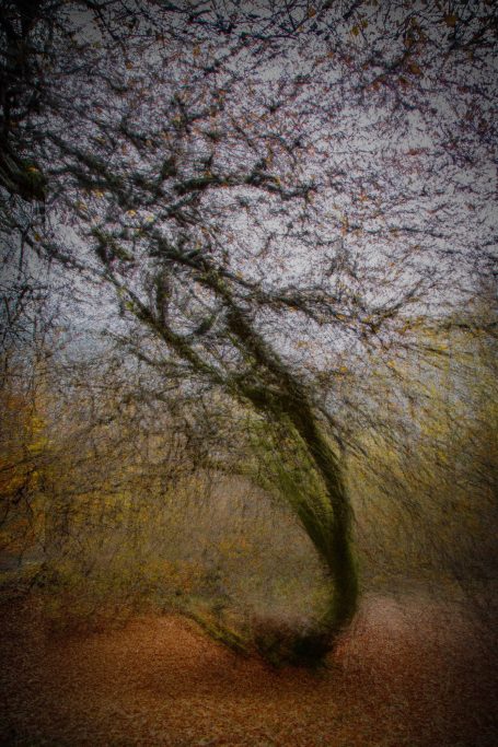 "Photographie d'art série OPUS 1874 hommage à l'impressionnisme - Dominique Cherprenet".