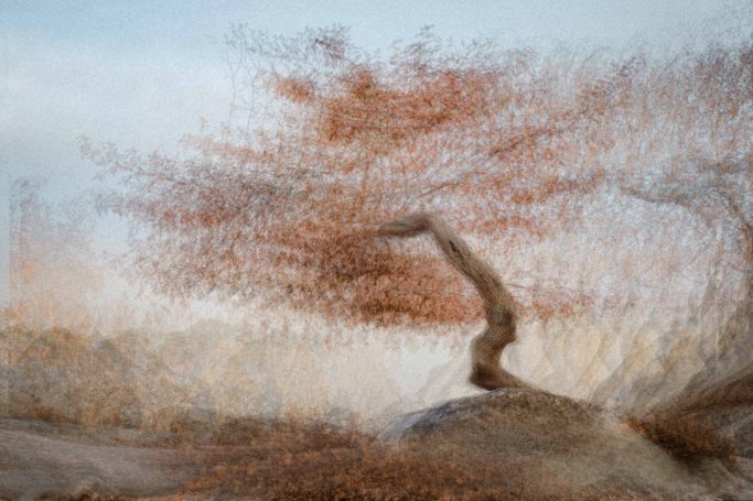 "Photographie d'art série OPUS 1874 hommage à l'impressionnisme - Dominique Cherprenet".