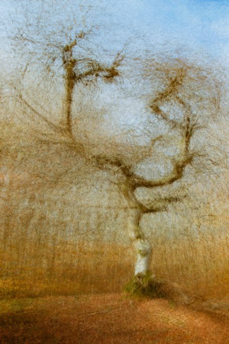 "Photographie d'art série OPUS 1874 hommage à l'impressionnisme - Dominique Cherprenet".