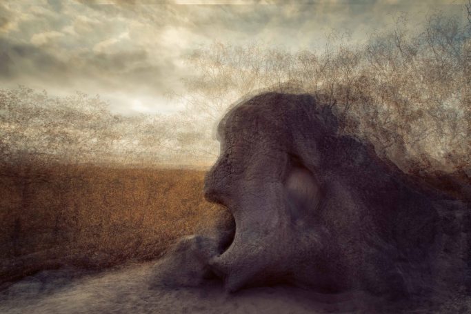 "Photographie d'art série OPUS 1874 hommage à l'impressionnisme - Dominique Cherprenet".